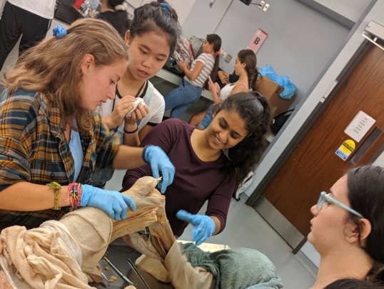 Students in the cadaver lab