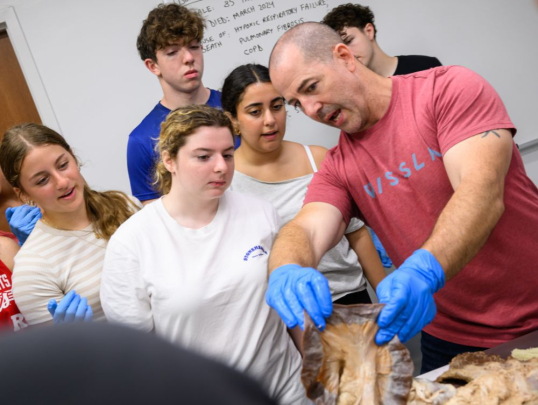 Students in the Human Anatomy lab