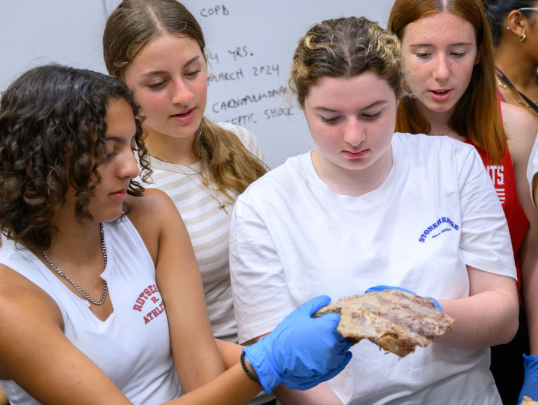 Students in the Human Anatomy lab