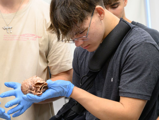 Student looking at an organ in the Human Anatomy lab
