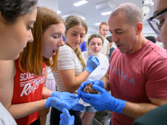 Students looking at an organ in the Human Anatomy lab