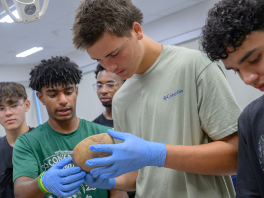 Students in the Human Anatomy lab
